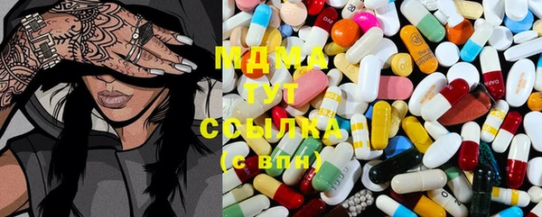 амф Грязовец