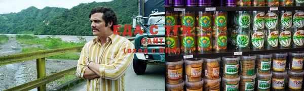 амф Грязовец